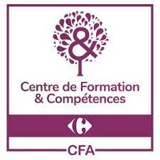 Logo cfcformation